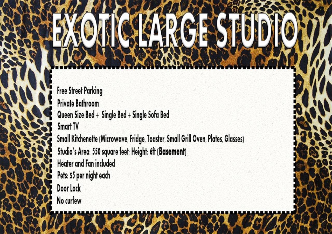 Exotic Large Basement Studio Hotel Montréal Exterior foto